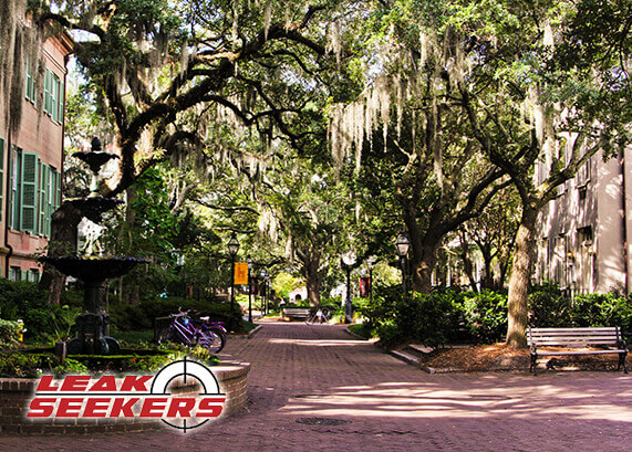 Leak Seekers in Charleston, South Carolina